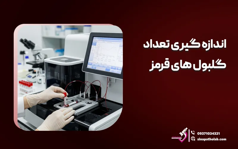 اندازه‌ گیری تعداد گلبول ‌های قرمز