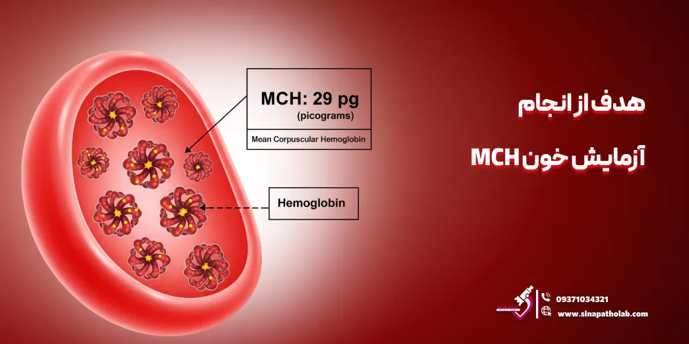 هدف از انجام آزمایش خون MCH