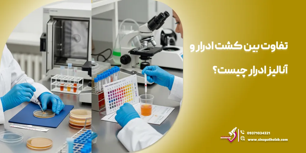 تفاوت بین کشت ادرار و آنالیز ادرار چیست؟