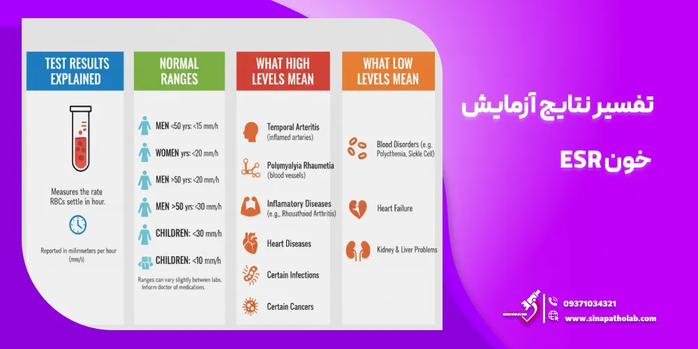تفسیر نتایج آزمایش خون ESR