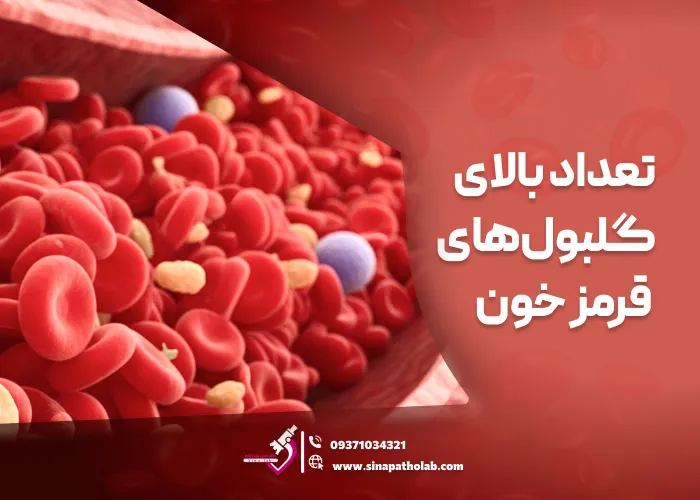 تعداد بالای گلبول‌های قرمز خون: علت، علائم و درمان