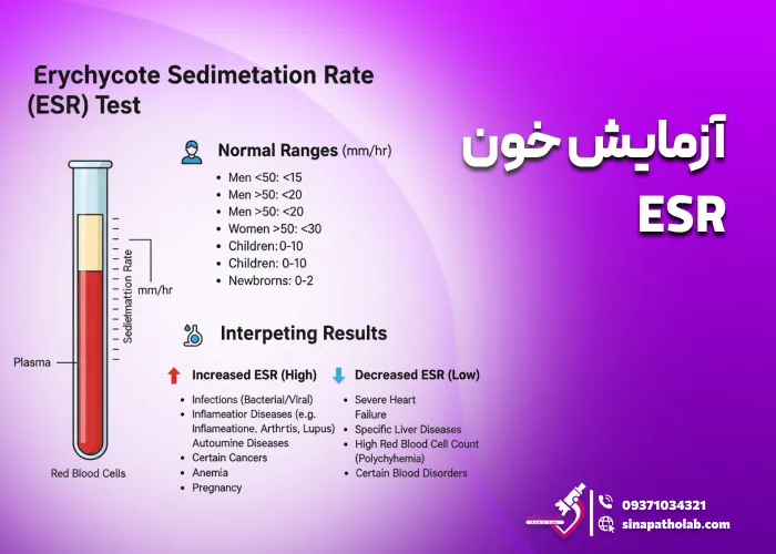 آزمایش خون ESR: نحوه انجام، کاربرد و تفسیر نتایج
