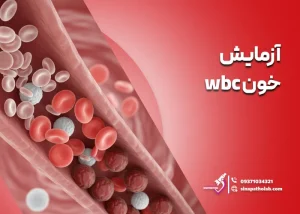 آزمایش خون WBC