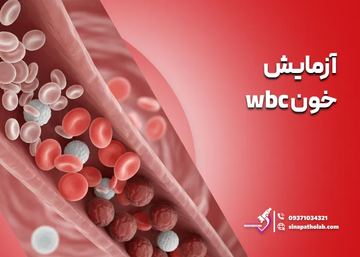 آزمایش خون WBC