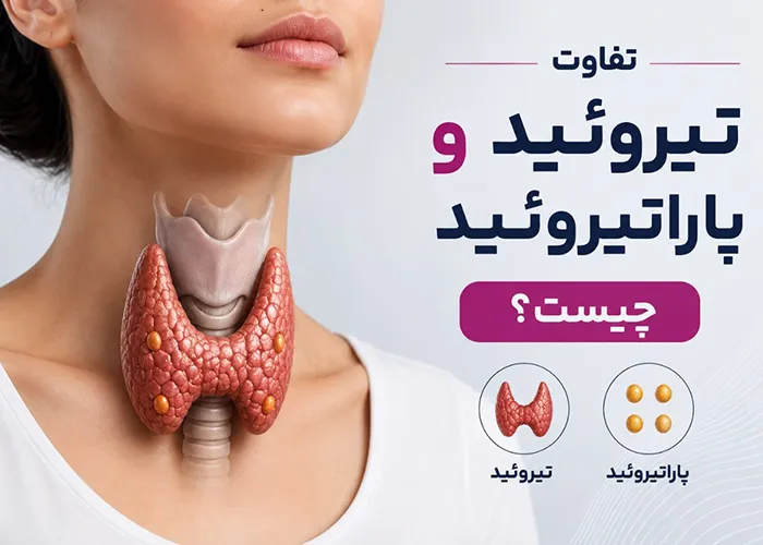 تفاوت تیروئید و پاراتیروئید: بررسی وظایف، بیماری ها و جراحی